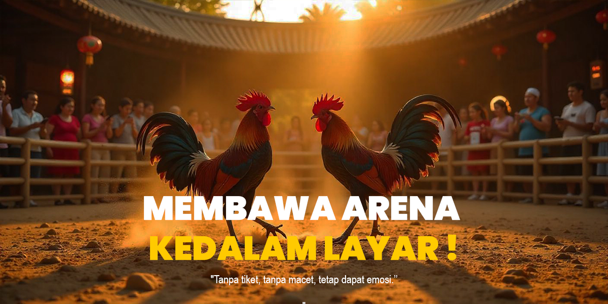 Mengenal Sabung Ayam: Tradisi, Aturan, dan Kontroversinya