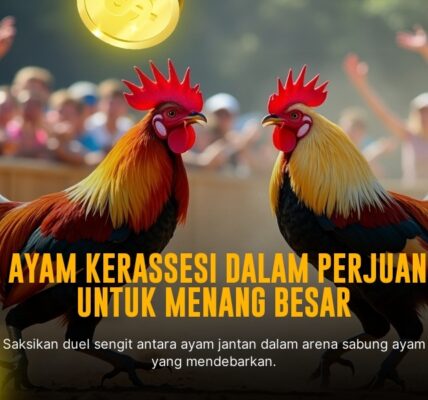 Kenali Ayam Birma dalam Dunia Sabung Ayam Online
