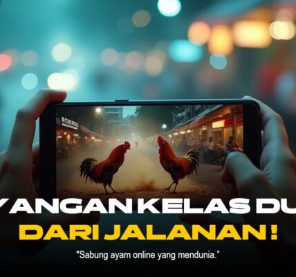 Mengenal Jenis Ayam Laga SV388 yang Paling Populer
