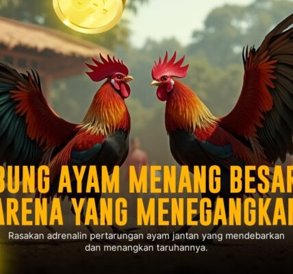 Mengenal Ayam Birma: Raja Sabung Ayam dari SV388