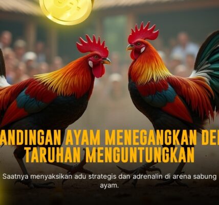 Eksplorasi Sabung Ayam SV388: Jenis Ayam dan Odds Menarik